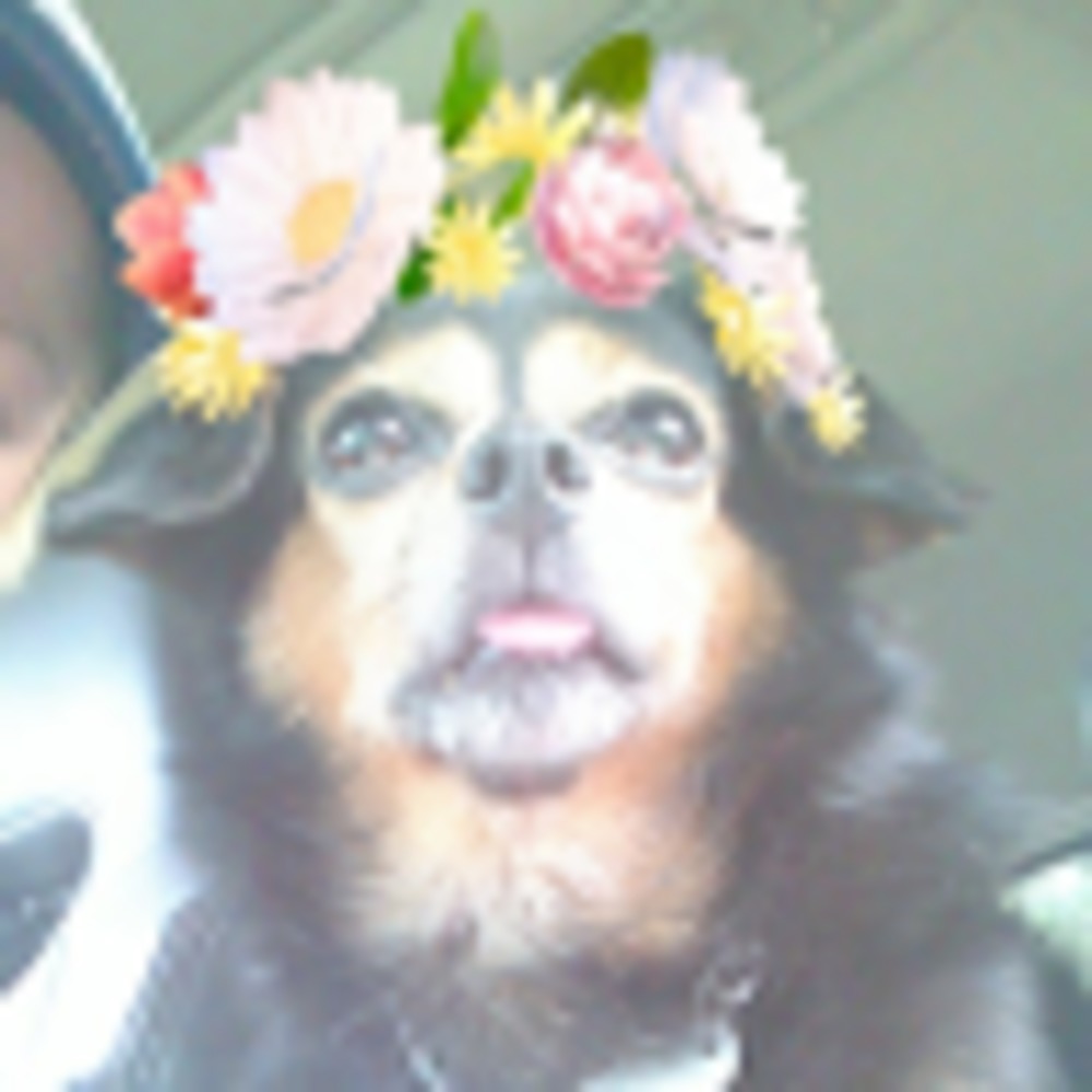 Meet your Posher, Savannah